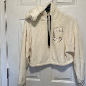 Champion hoody
